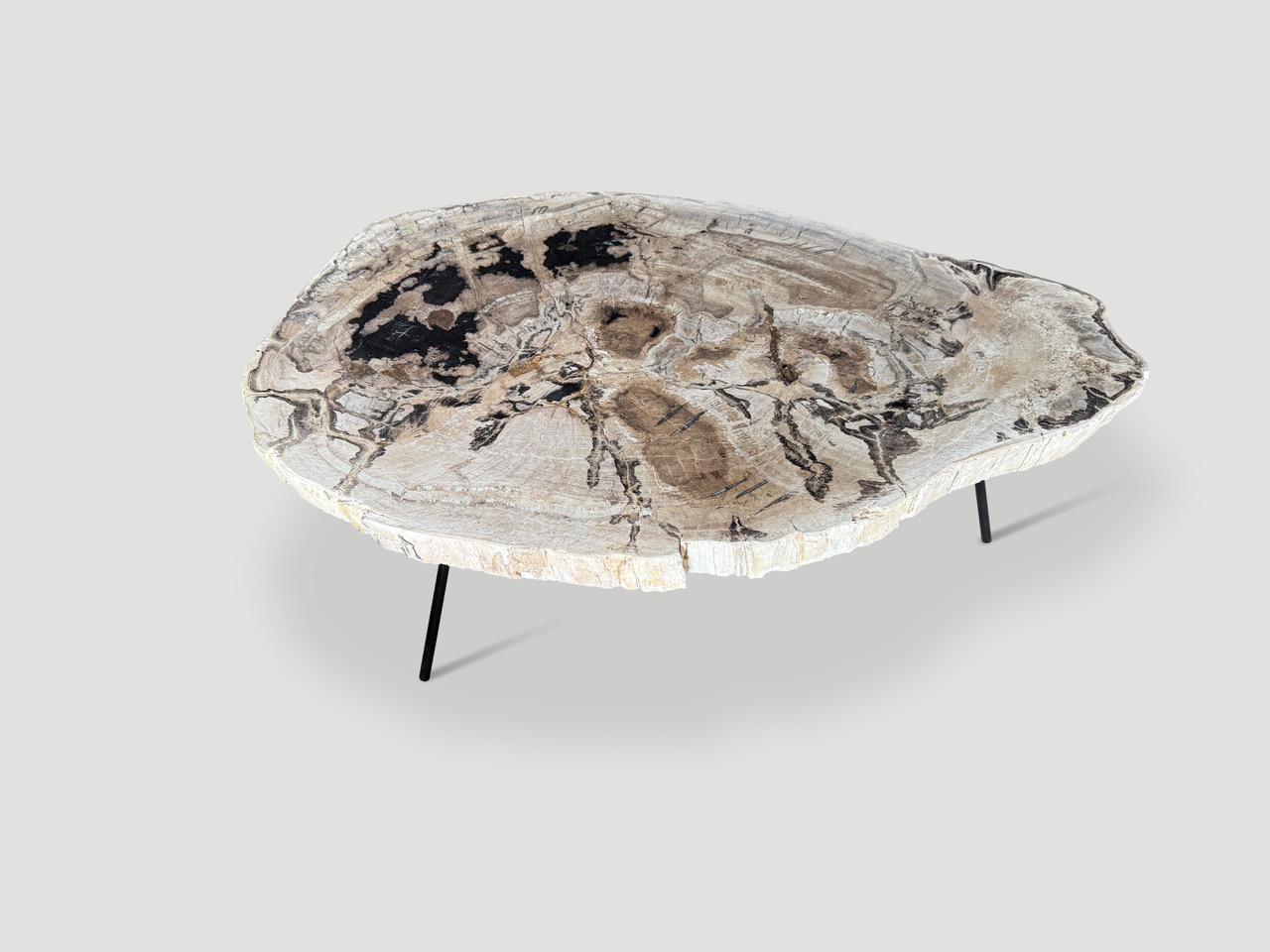 Une magnifique plaque de bois pétrifié de haute qualité, de deux pouces et demi, flotte sur une base minimaliste en métal noir. Parfait comme table basse ou grande table d'appoint. Nous en avons une collection de six, tous taillés dans la même