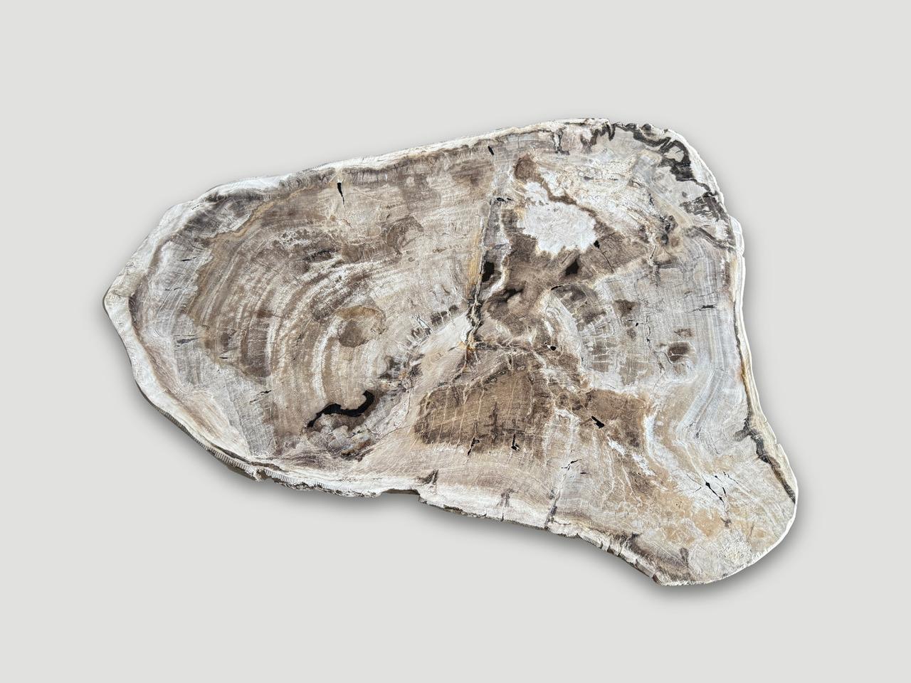 Hermosa losa antigua de dos pulgadas y media de madera petrificada de alta calidad, flota sobre una base minimalista de metal negro. Perfecta como mesa de centro o mesa auxiliar grande. Es fascinante cómo la Mother Nature produce estos asombrosos