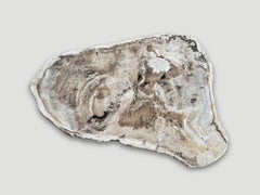 Andrianna Shamaris Petrified Wood Coffee Table, Minimalist Modern Organic Design