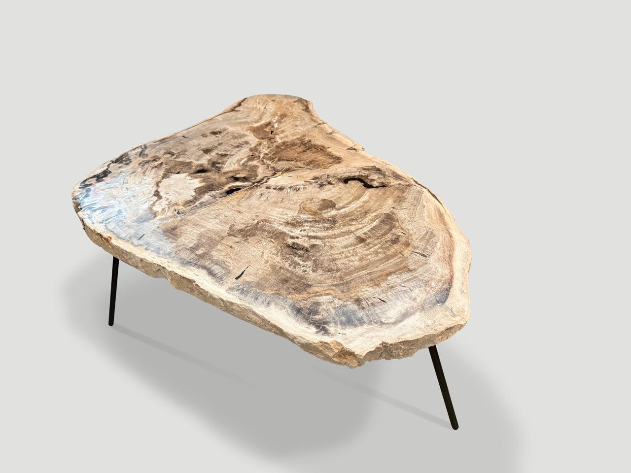 Andrianna Shamaris Mesa baja o auxiliar minimalista de madera petrificada Siglo XXI y contemporáneo en venta