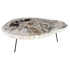 Coffee and Cocktail Tables