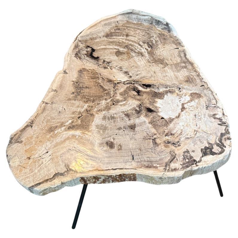 Andrianna Shamaris Mesa baja o auxiliar minimalista de madera petrificada en venta