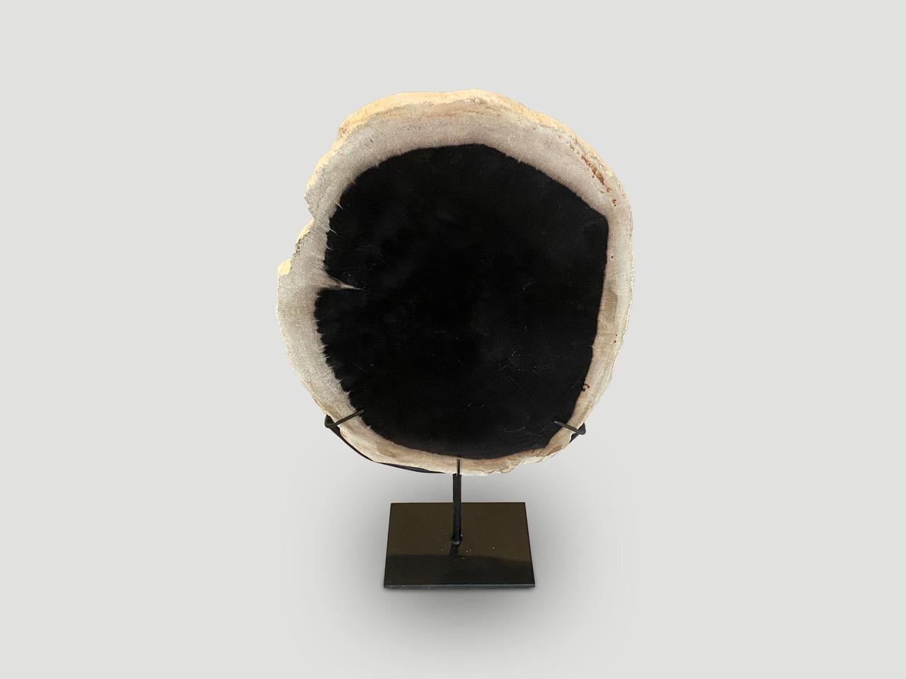 We have a collection of super smooth minimalist black and white petrified wood. Shown on a stand as an art object. When removed from the black metal stand these can also be used as a place holder for jewelry or in a bathroom . There are so many uses