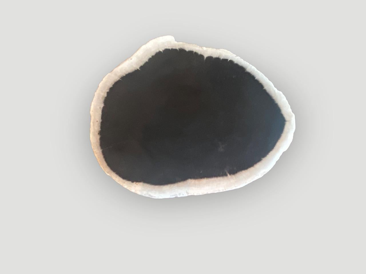We have a collection of super smooth minimalist black and white petrified wood. Shown on a stand as an art object. When removed from the black metal stand these can also be used as a place holder for jewelry or in a bathroom . There are so many uses