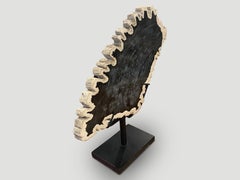 Andrianna Shamaris Minimalist Petrified Wood on Stand
