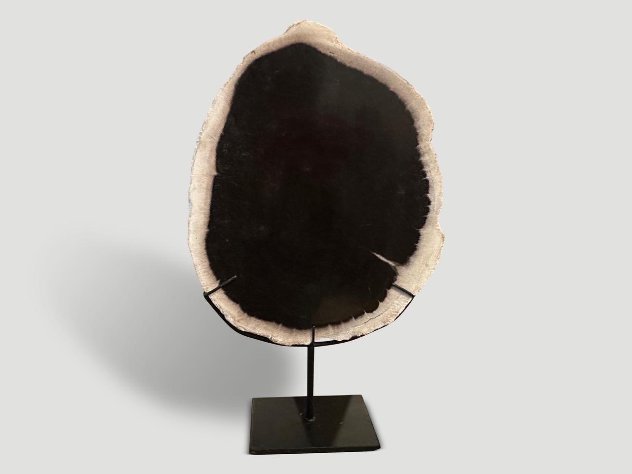 It’s fascinating how Mother Nature produces these stunning 40 million year old petrified wood with such contrasting and natural patterns throughout. Modern yet with so much history.

We have a collection of super smooth minimalist black and white