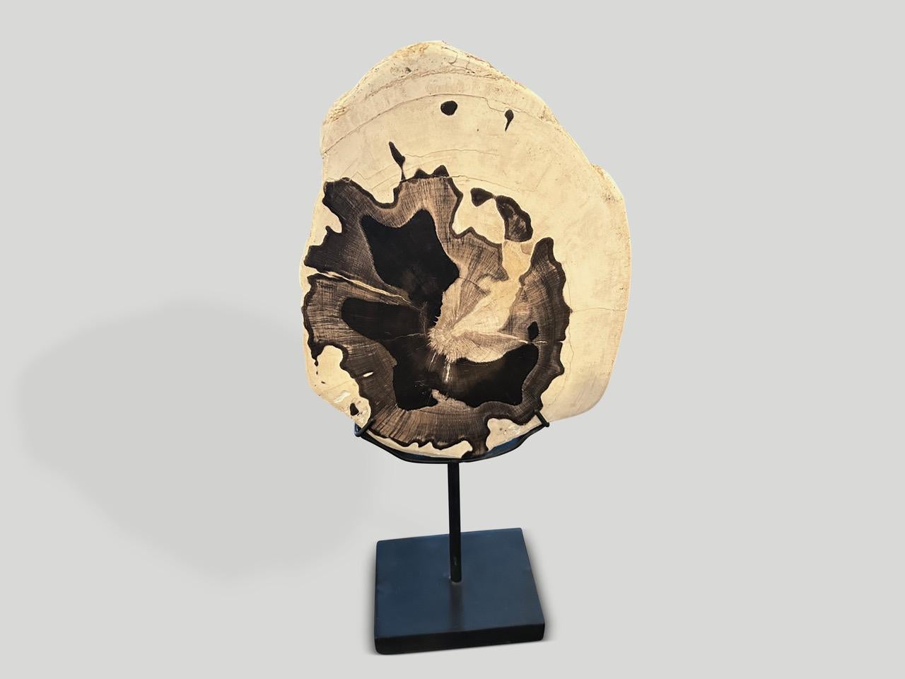 Organic Modern Andrianna Shamaris Minimalist Petrified Wood on Stand For Sale
