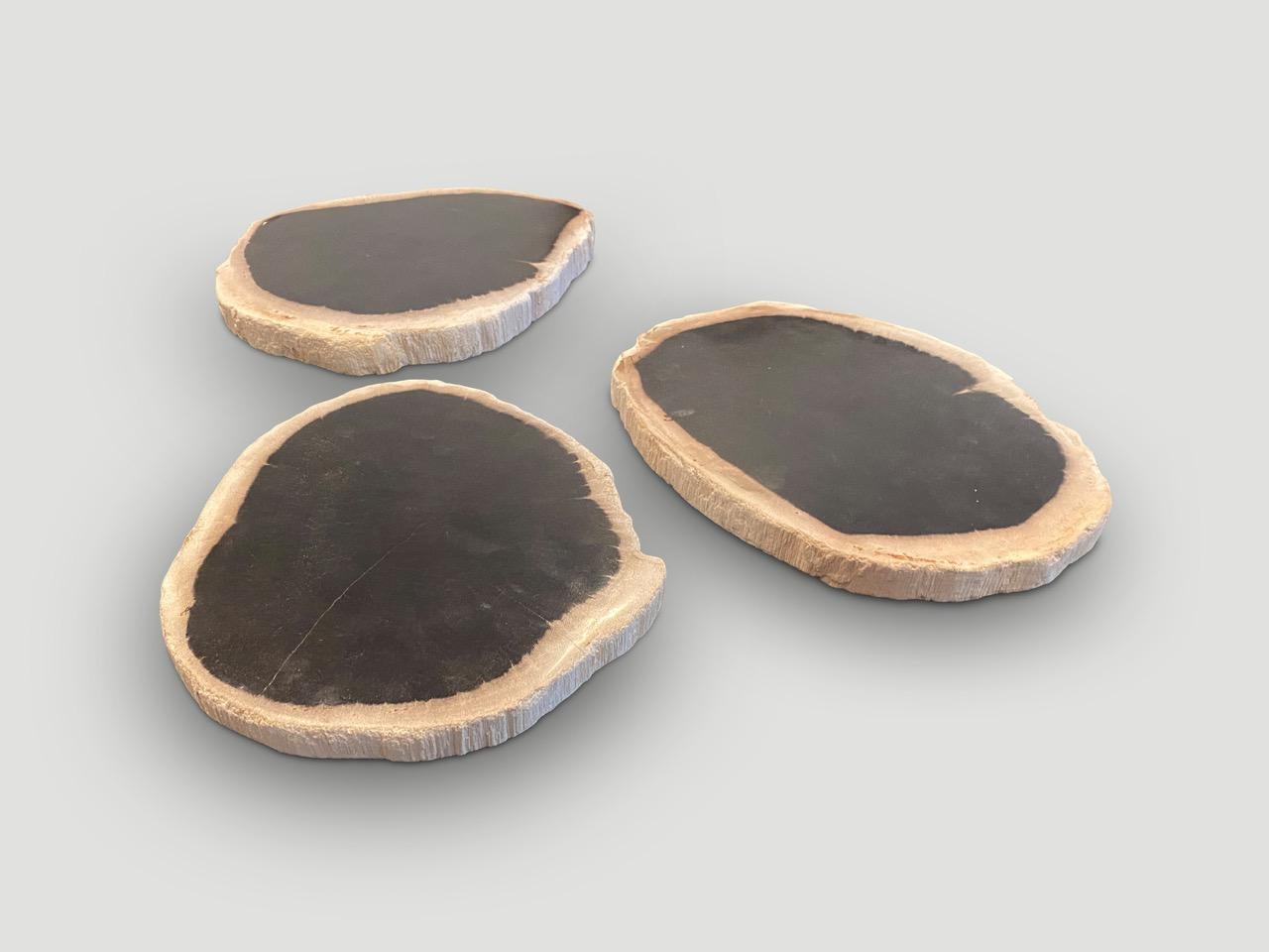 Andrianna Shamaris Minimalist Petrified Wood on Stand In Excellent Condition In New York, NY