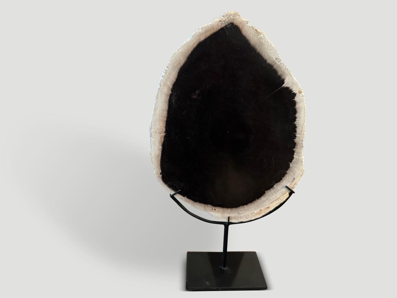 Andrianna Shamaris Minimalist Petrified Wood on Stand In Excellent Condition For Sale In New York, NY