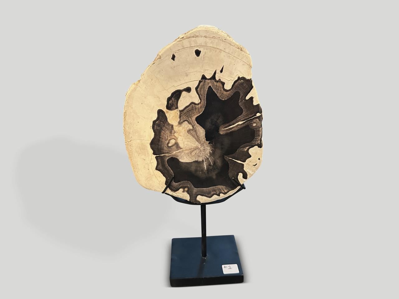 Andrianna Shamaris Minimalist Petrified Wood on Stand In Excellent Condition For Sale In New York, NY