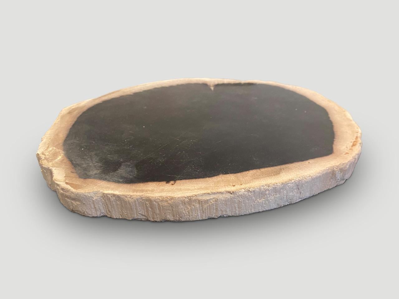 Contemporary Andrianna Shamaris Minimalist Petrified Wood on Stand For Sale