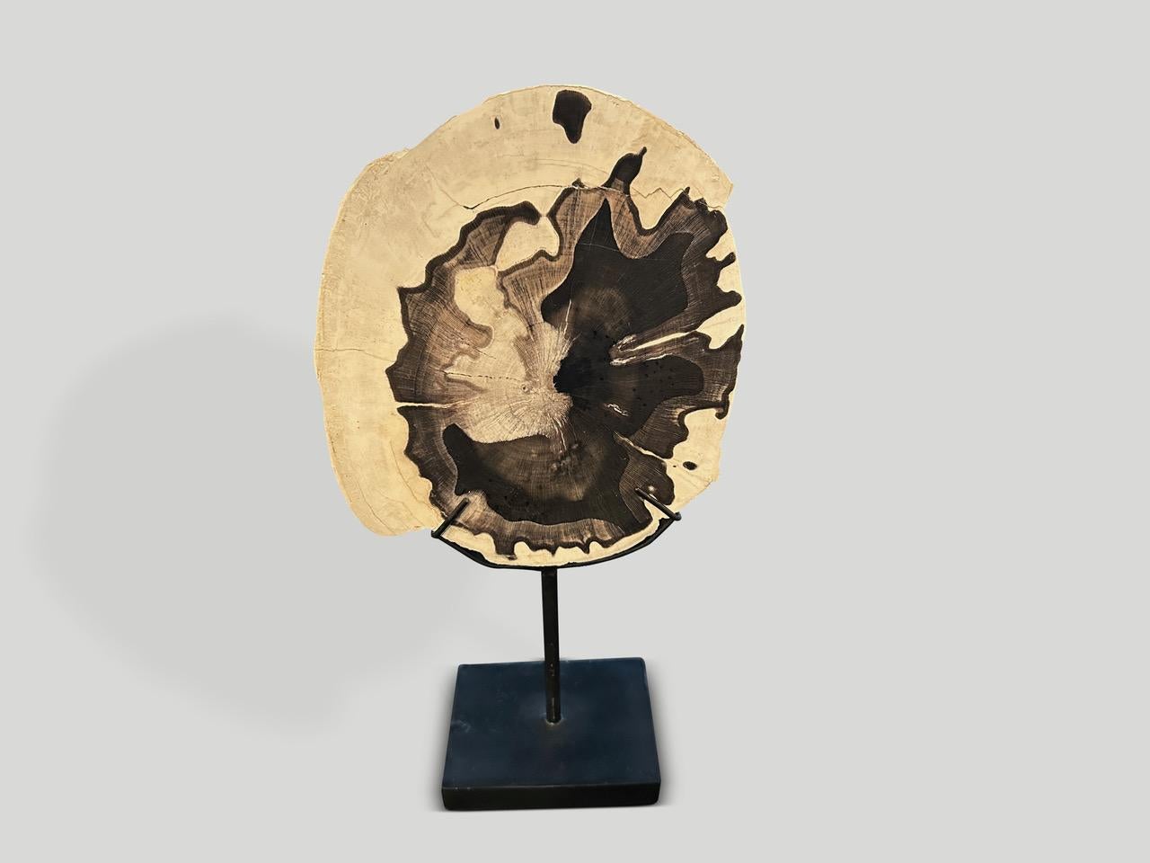 Metal Andrianna Shamaris Minimalist Petrified Wood on Stand