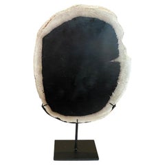 Andrianna Shamaris Minimalist Petrified Wood on Stand