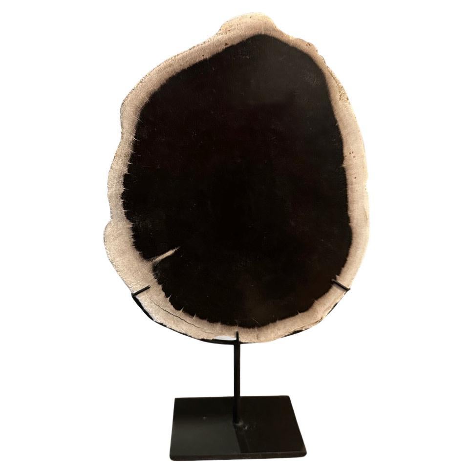 Andrianna Shamaris Minimalist Petrified Wood on Stand