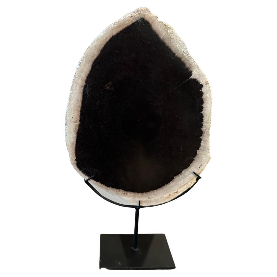 Andrianna Shamaris Minimalist Petrified Wood on Stand For Sale