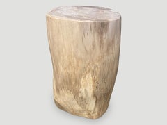 Andrianna Shamaris Minimalist Petrified Wood Side Table