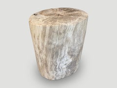 Andrianna Shamaris Minimalist Petrified Wood Side Table