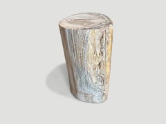 Andrianna Shamaris Minimalist Petrified Wood Side Table