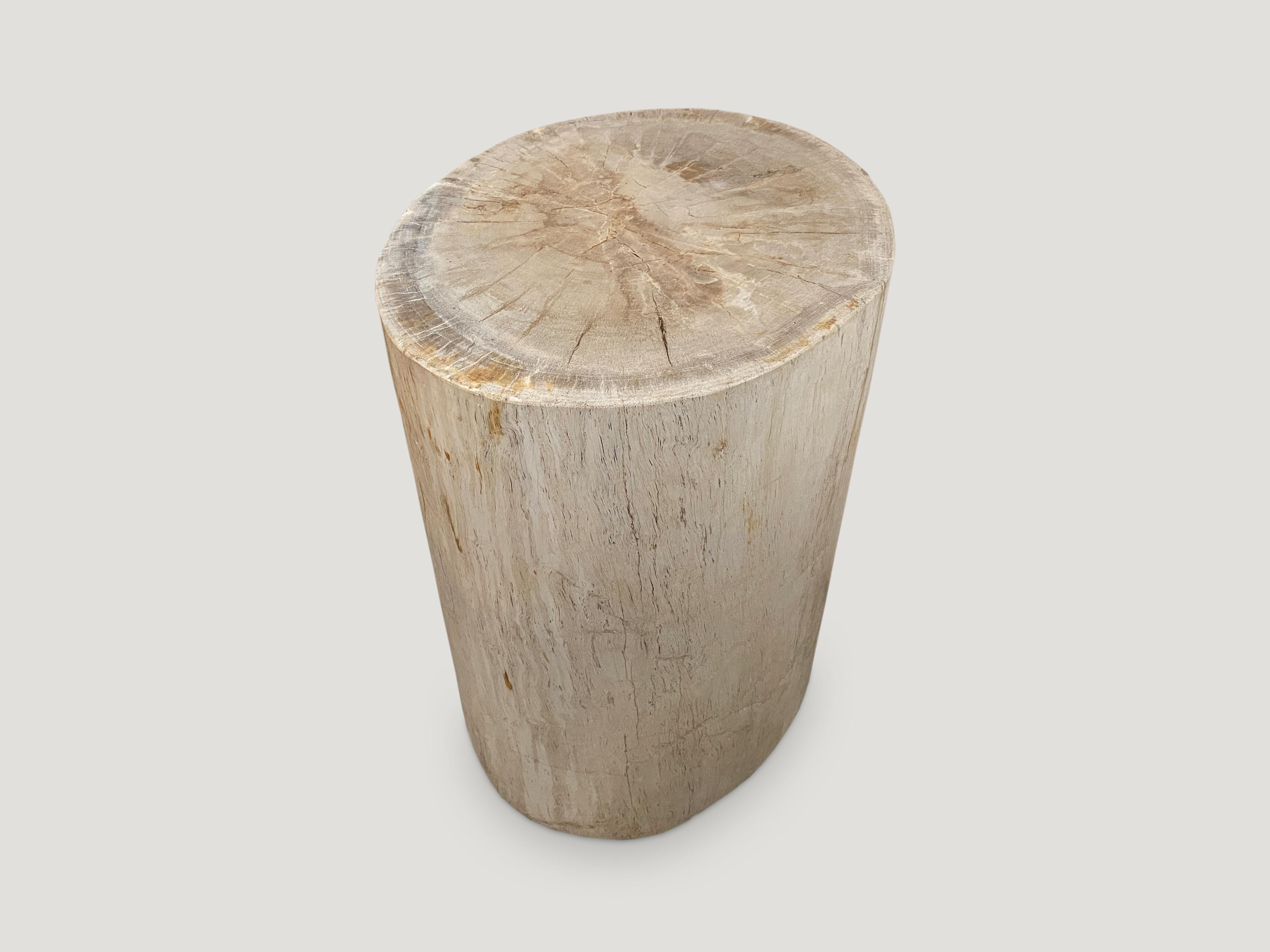 Organic Modern Minimalist Petrified Wood Side Table