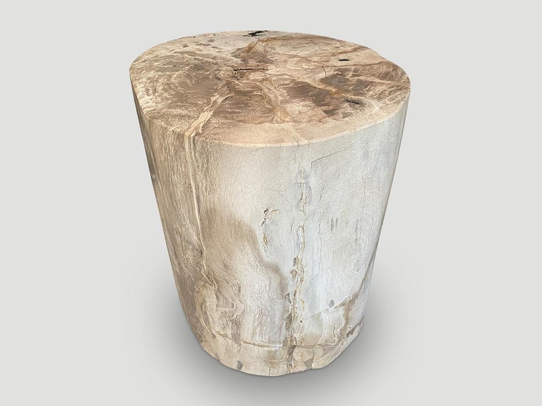 Organic Modern Andrianna Shamaris Minimalist Petrified Wood Side Table For Sale