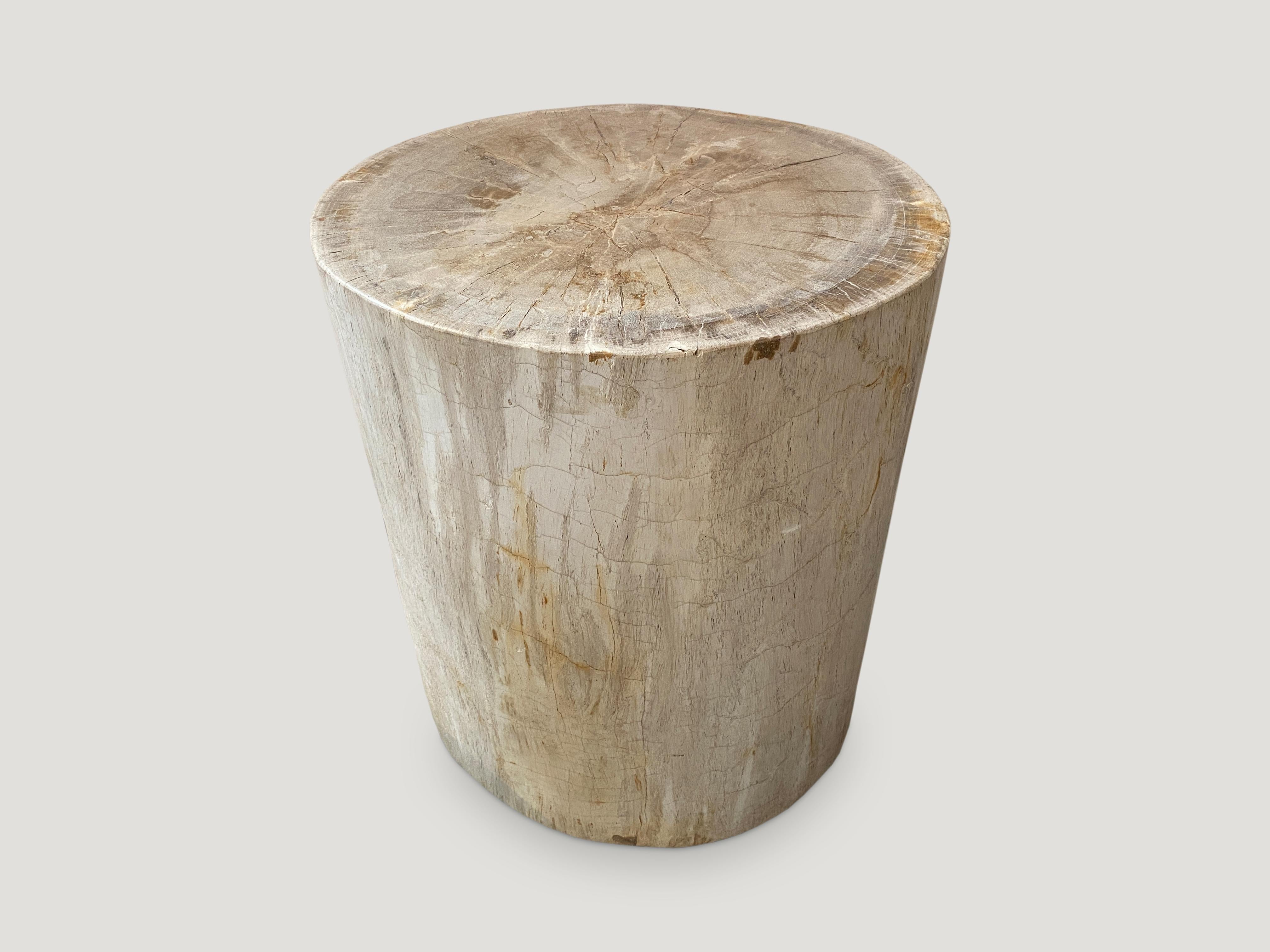 Minimalist Petrified Wood Side Table In Excellent Condition In New York, NY