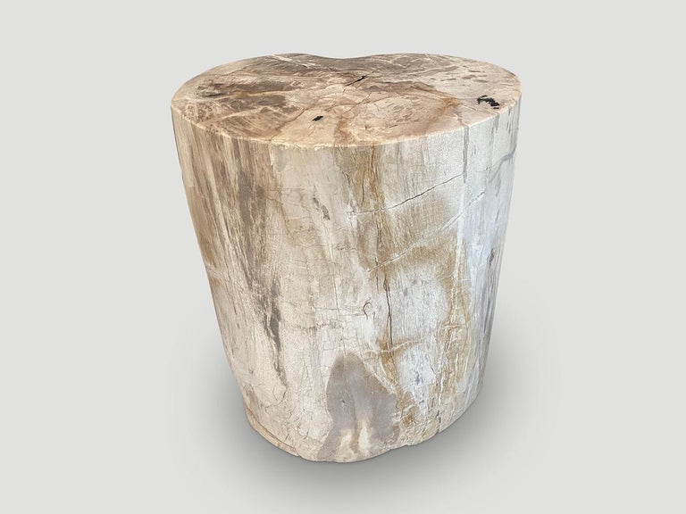 Andrianna Shamaris Minimalist Petrified Wood Side Table In Excellent Condition For Sale In New York, NY