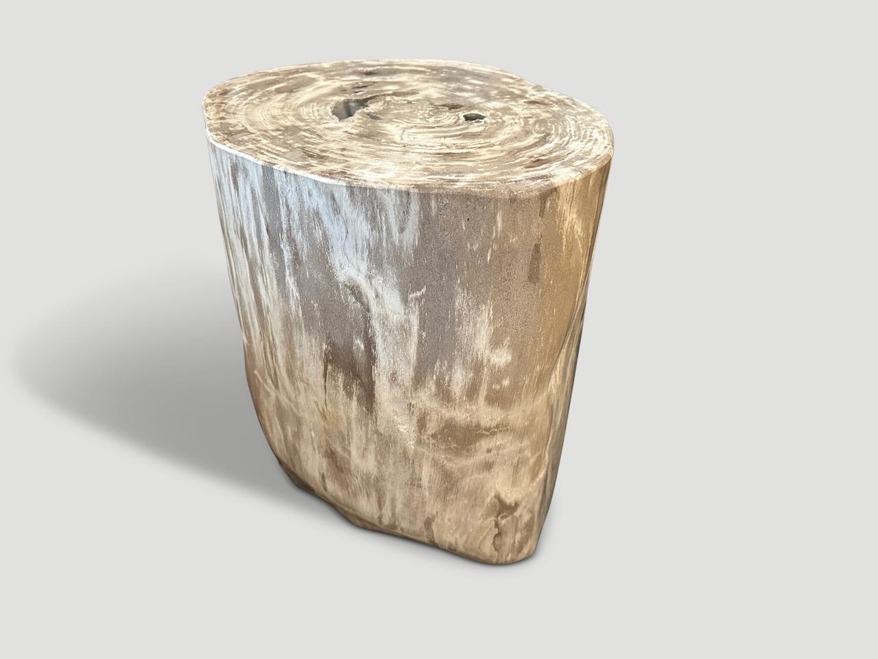 Andrianna Shamaris Minimalist Petrified Wood Side Table  In Excellent Condition For Sale In New York, NY