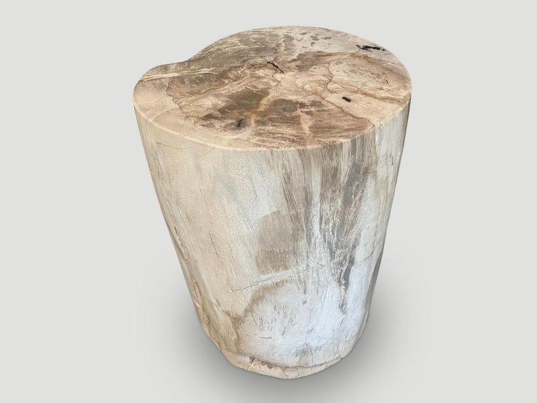 Contemporary Andrianna Shamaris Minimalist Petrified Wood Side Table For Sale