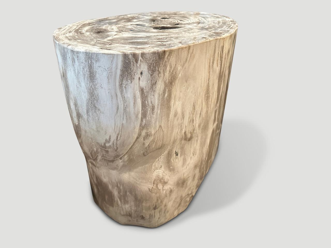 Contemporary Andrianna Shamaris Minimalist Petrified Wood Side Table  For Sale
