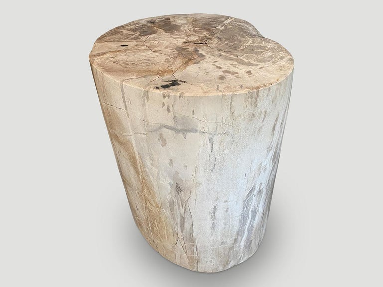 Andrianna Shamaris Minimalist Petrified Wood Side Table For Sale 1