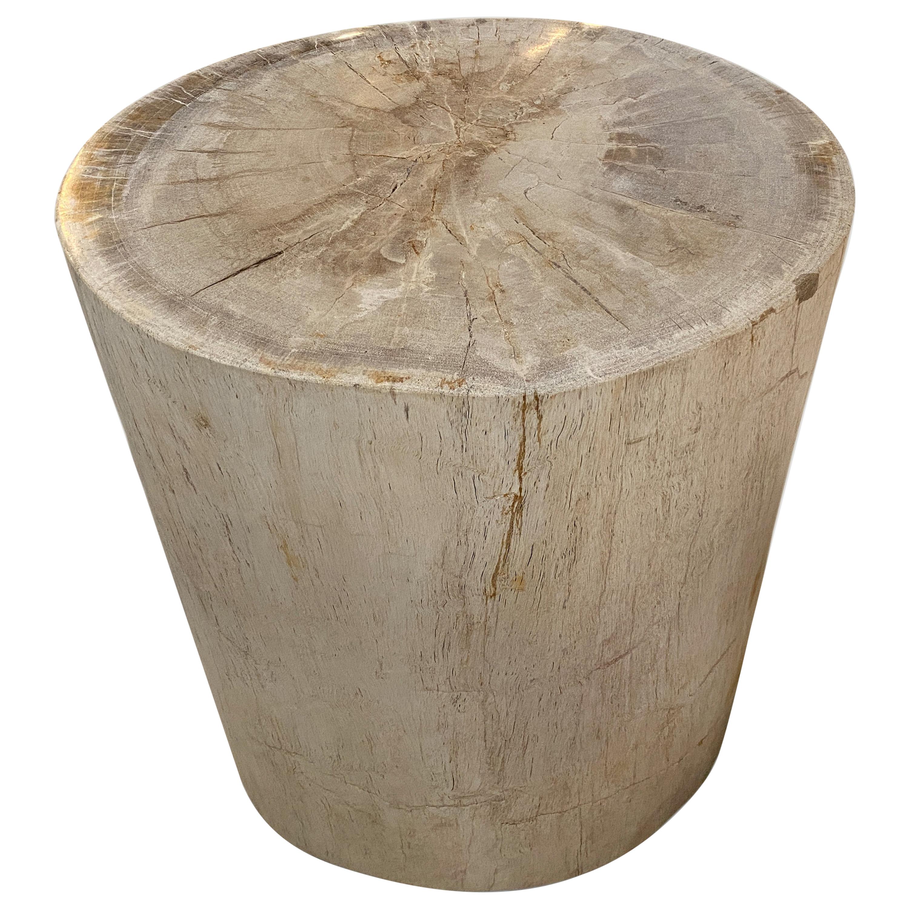 Minimalist Petrified Wood Side Table