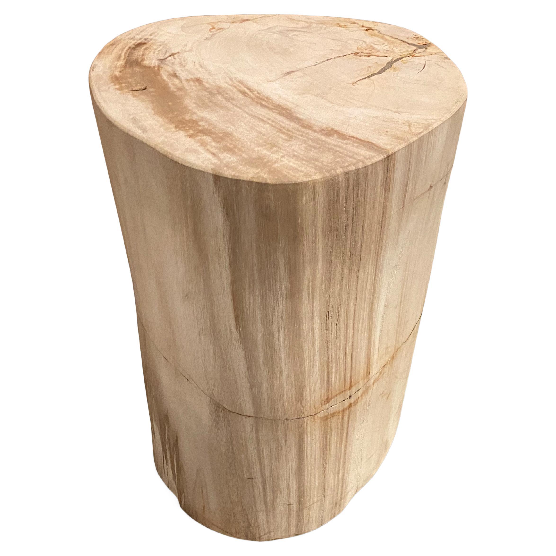 Petrified Wood Side Tables at 1stDibs