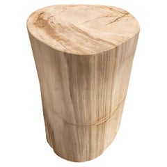 Andrianna Shamaris Minimalist Petrified Wood Side Table