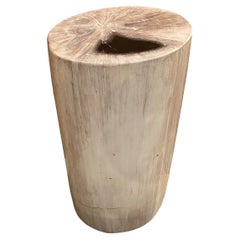 Andrianna Shamaris Minimalist Petrified Wood Side Table