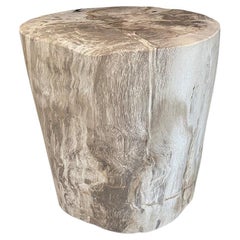 Andrianna Shamaris Minimalist Petrified Wood Side Table
