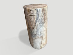 Andrianna Shamaris Minimalist Petrified Wood Side Table