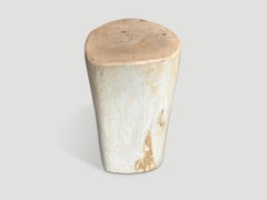 Andrianna Shamaris Minimalist Petrified Wood Side Table