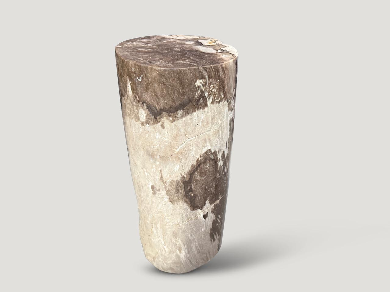 Beautiful beige tones on this petrified wood side table. It’s fascinating how Mother Nature produces these stunning 40 million year old petrified teak logs with such contrasting colors and natural patterns throughout. Modern yet with so much