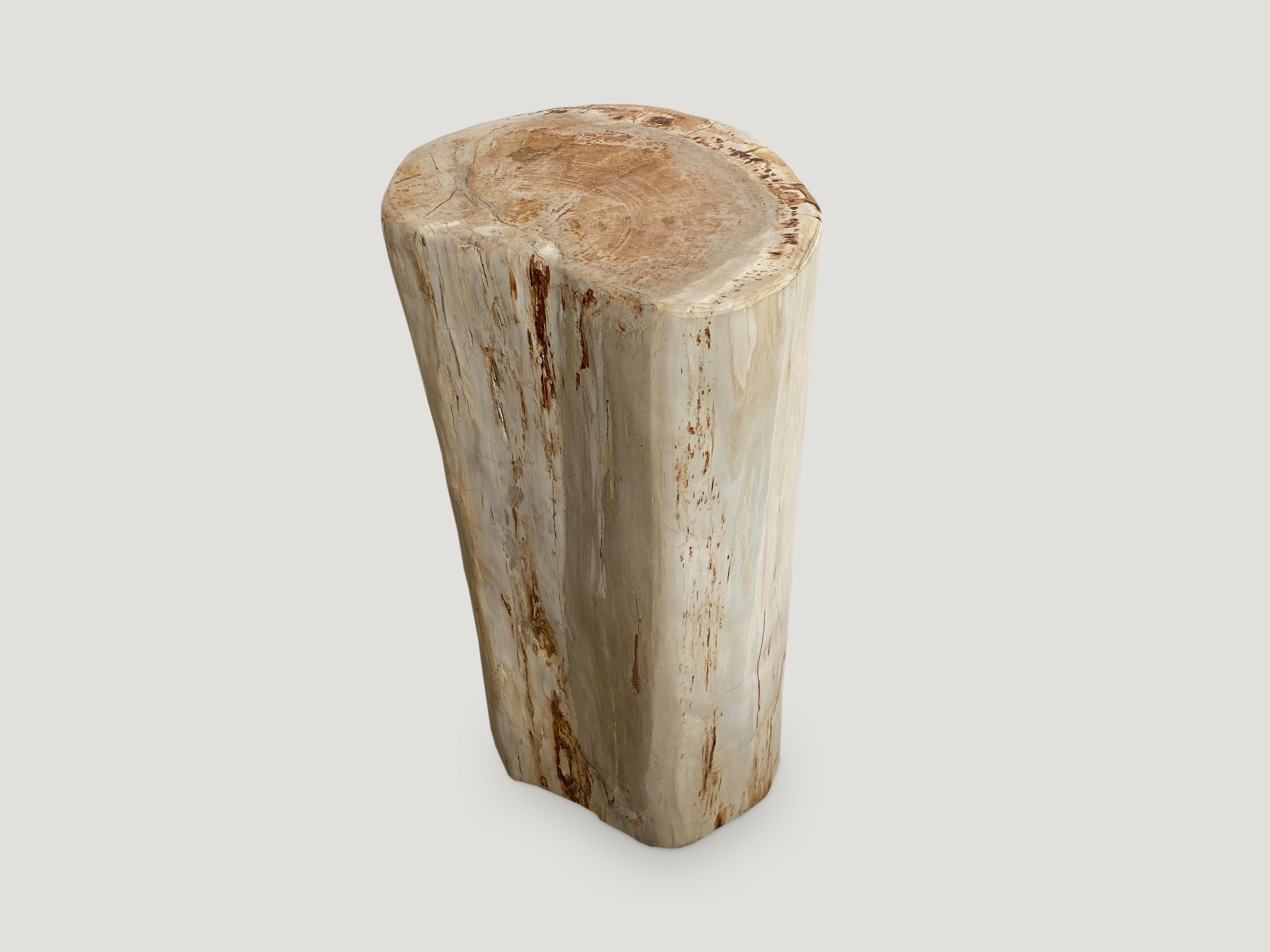 Organic Modern Andrianna Shamaris Minimalist Petrified Wood Side Table or Pedestal