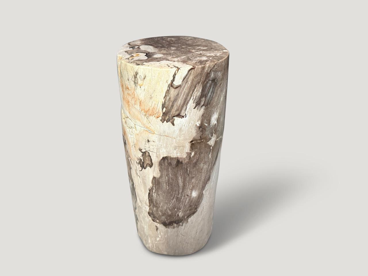 Organic Modern Andrianna Shamaris Minimalist Petrified Wood Side Table or Pedestal For Sale