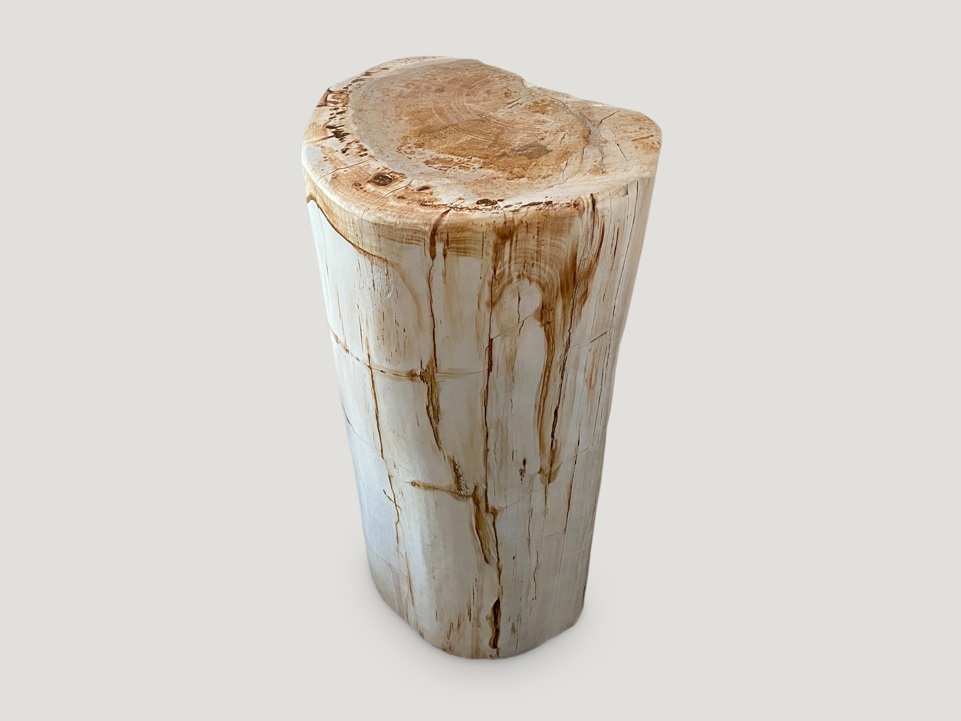 Andrianna Shamaris Minimalist Petrified Wood Side Table or Pedestal In Excellent Condition In New York, NY