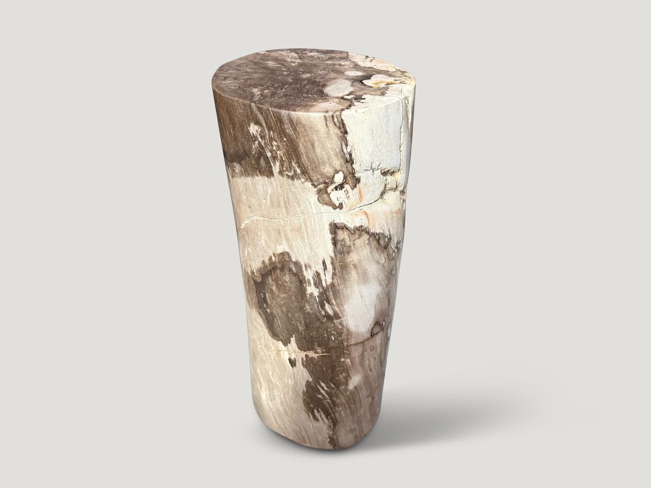 Andrianna Shamaris Minimalist Petrified Wood Side Table or Pedestal In Excellent Condition For Sale In New York, NY
