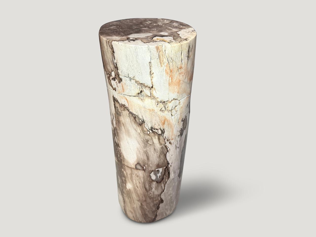 Contemporary Andrianna Shamaris Minimalist Petrified Wood Side Table or Pedestal For Sale