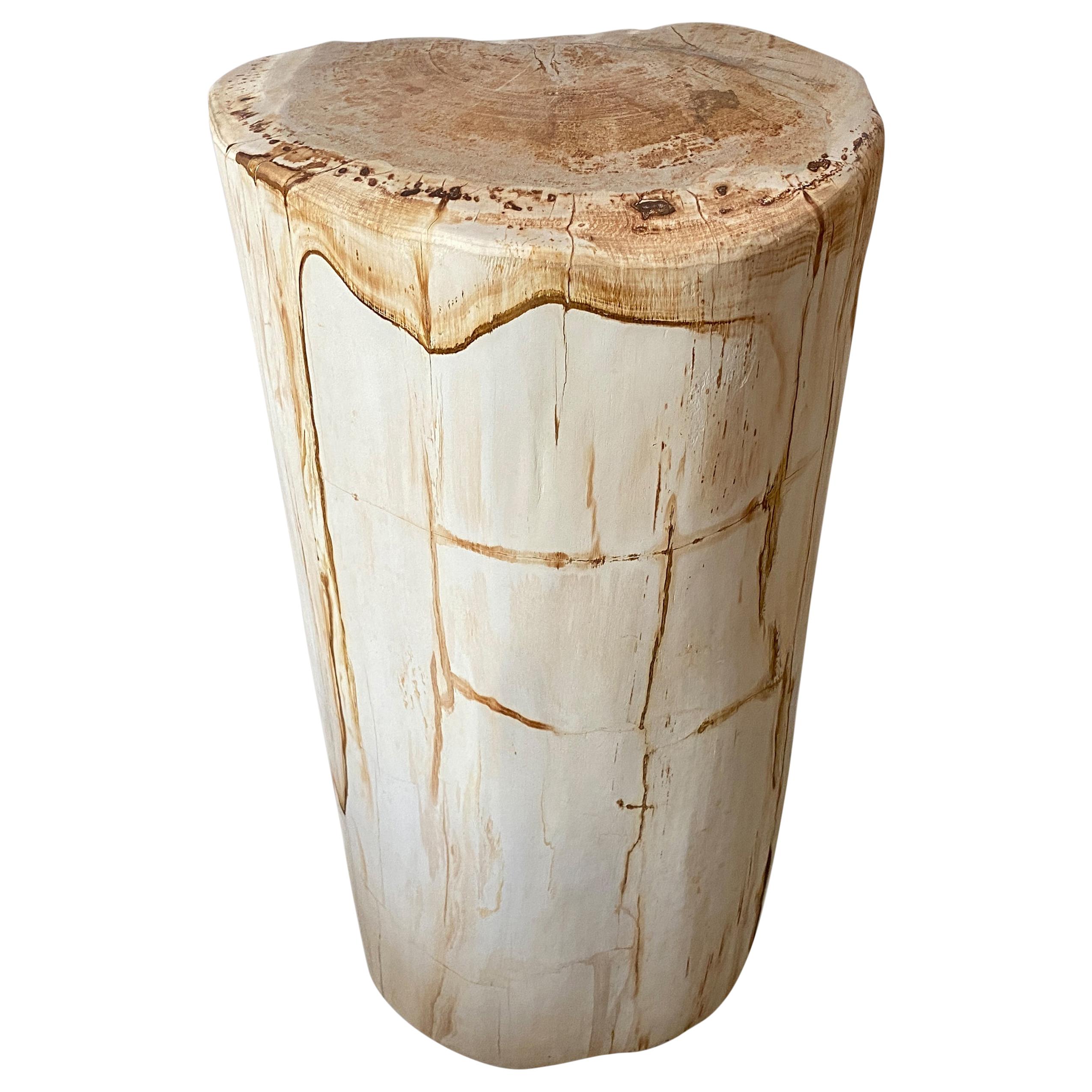 Andrianna Shamaris Minimalist Petrified Wood Side Table or Pedestal