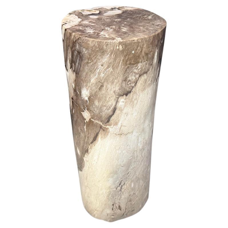 Andrianna Shamaris Minimalist Petrified Wood Side Table or Pedestal