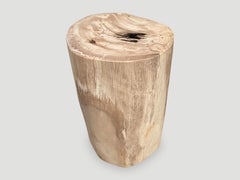 Andrianna Shamaris Minimalist Petrified Wood Side Table with a Drop of Resin