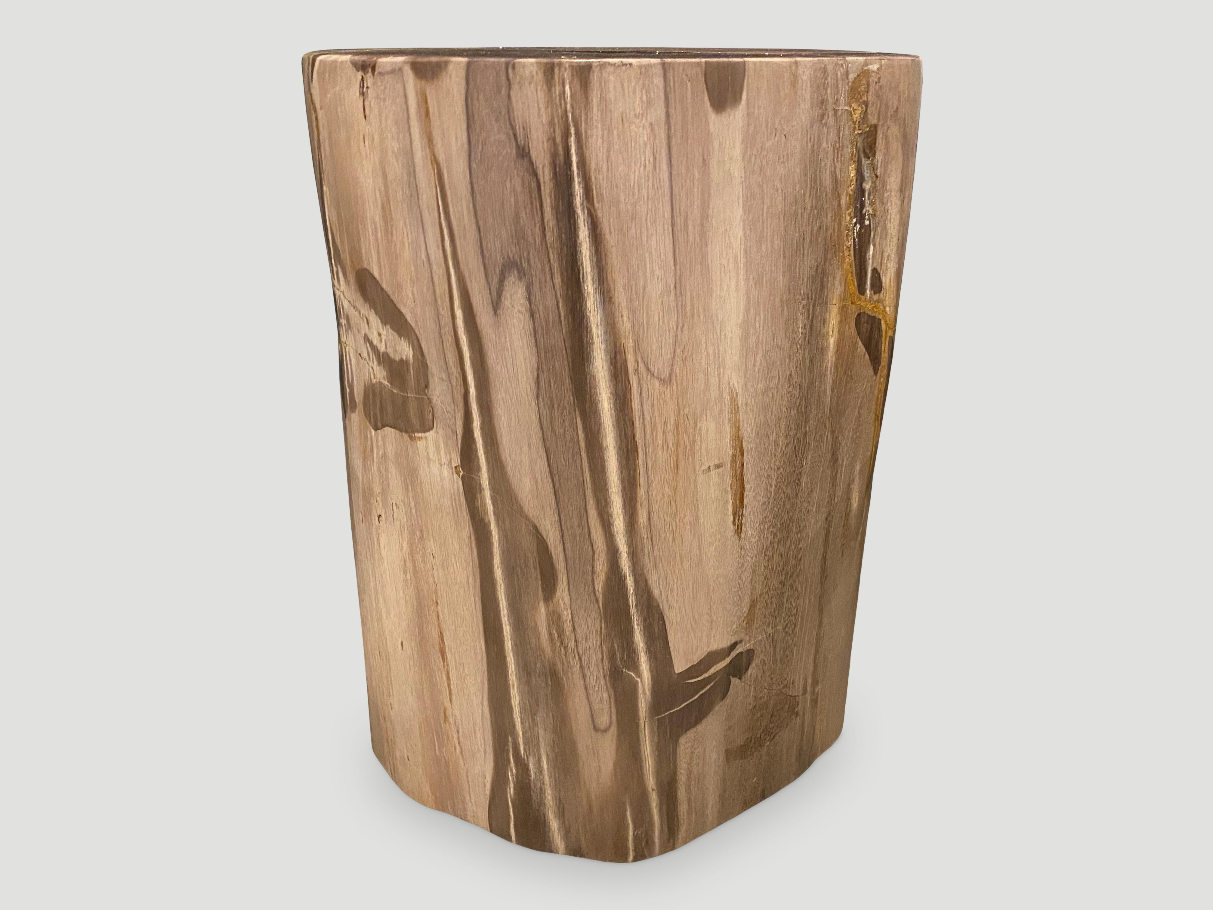 Beautiful rare tones with stunning natural markings in this petrified wood side table. We added a resin drop to the top in a darker contrasting tone. It’s fascinating how Mother Nature produces these exquisite 40 million year old petrified teak logs