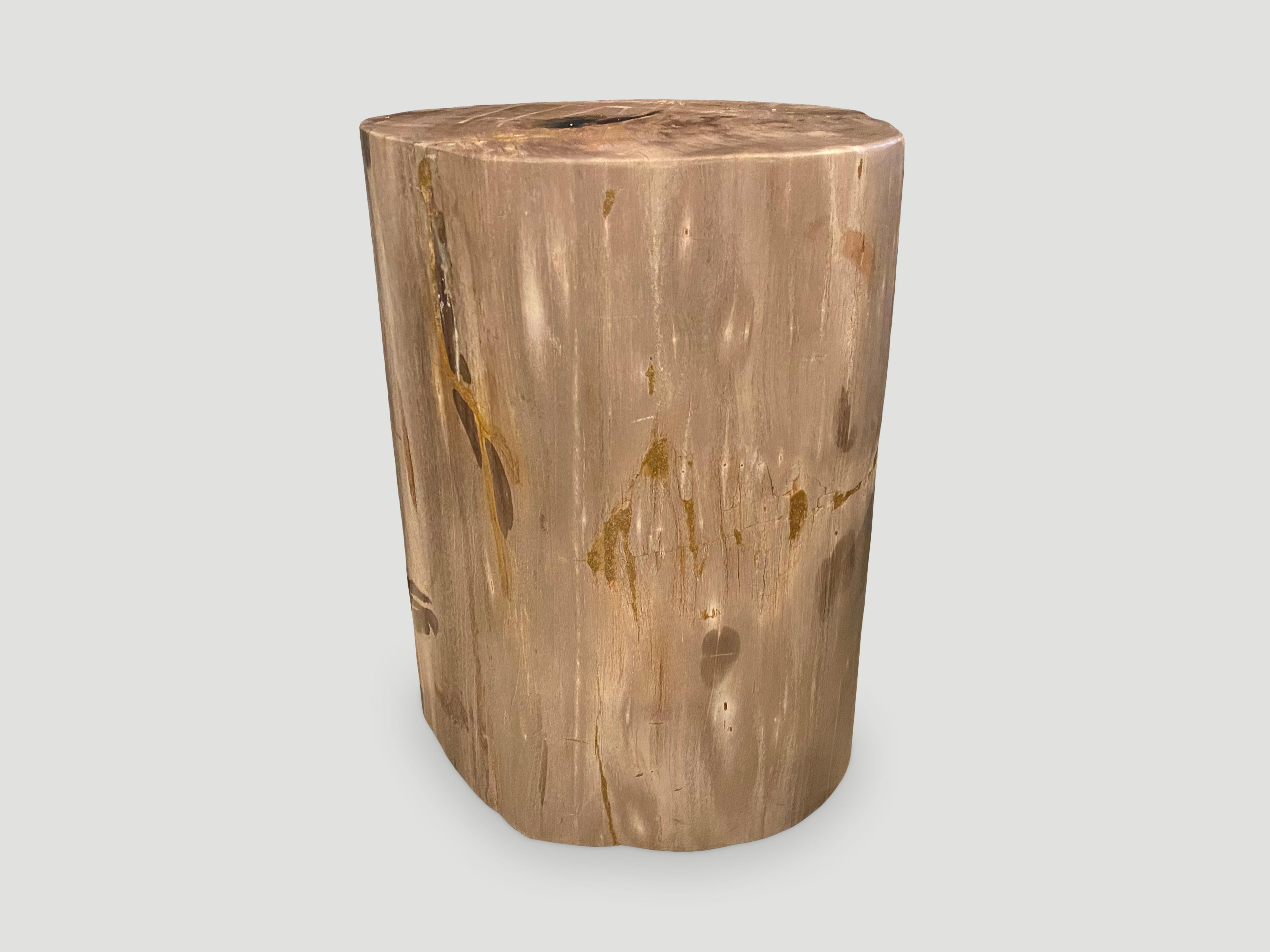 Andrianna Shamaris Minimalist Petrified Wood Side Table with a Drop of Resin In Excellent Condition In New York, NY