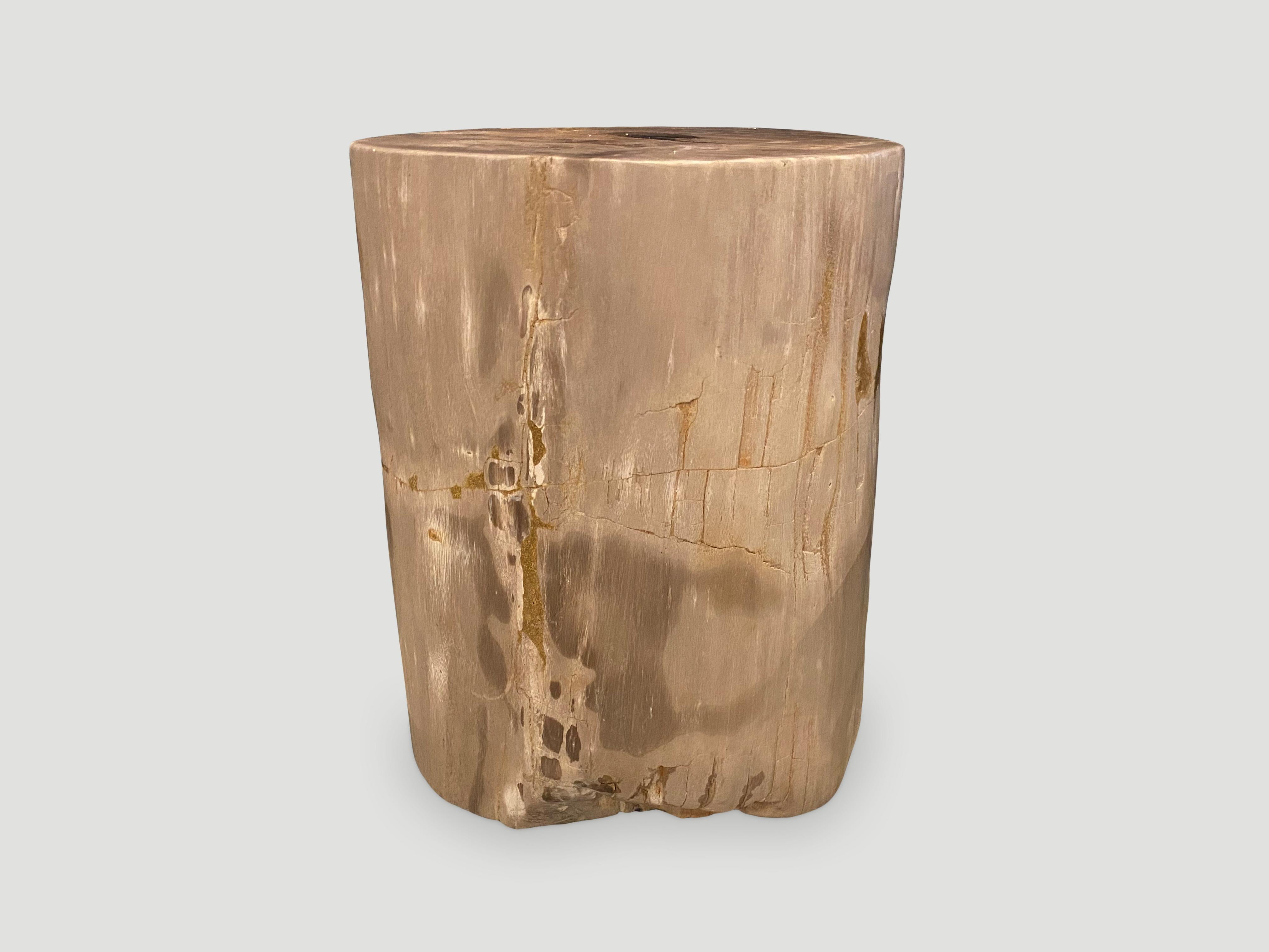 18th Century and Earlier Andrianna Shamaris Minimalist Petrified Wood Side Table with a Drop of Resin