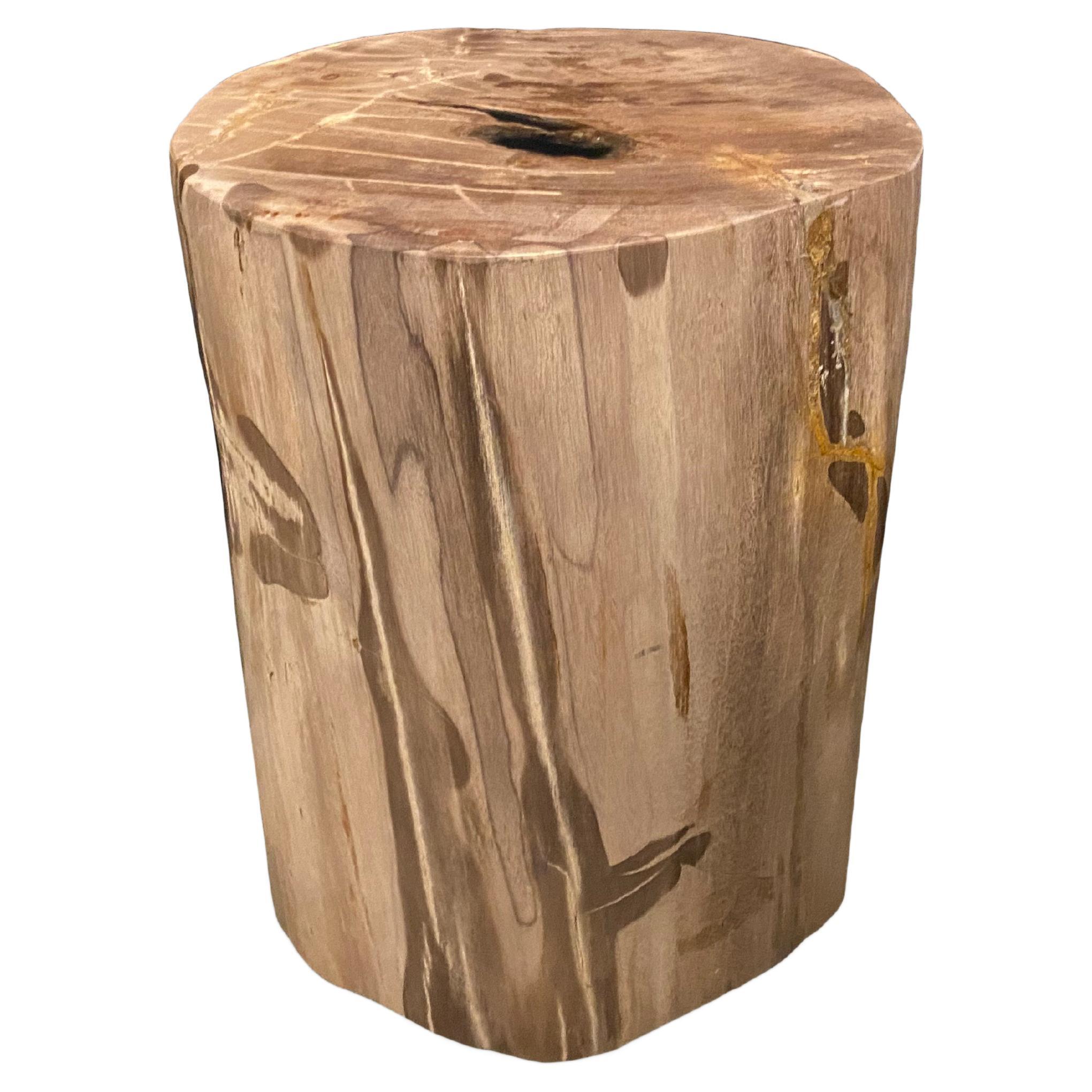 Andrianna Shamaris Minimalist Petrified Wood Side Table with a Drop of Resin